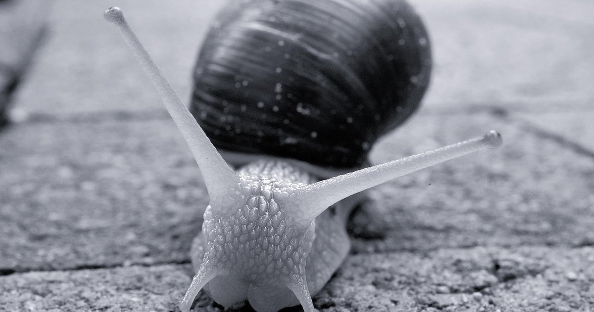 Why Hardware Monitoring Needs Infrastructure, Not Just Sensors [2026]